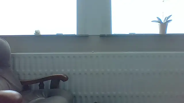bertolini webcam