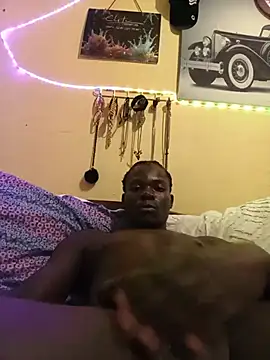 2pack_254 webcam