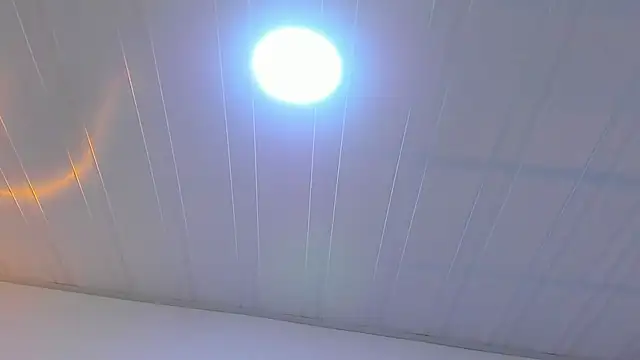 MiaMalcova__ webcam