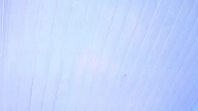 Loren_FX webcam