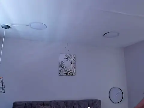 Ayne_soft_ webcam
