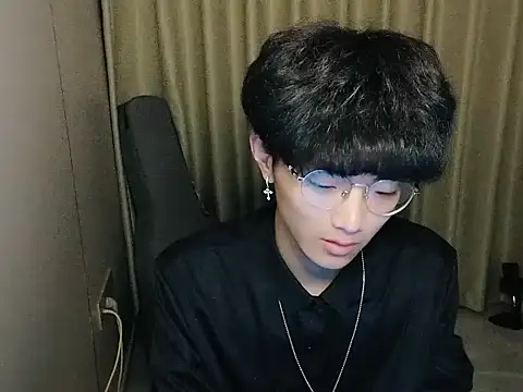wssoo11 webcam