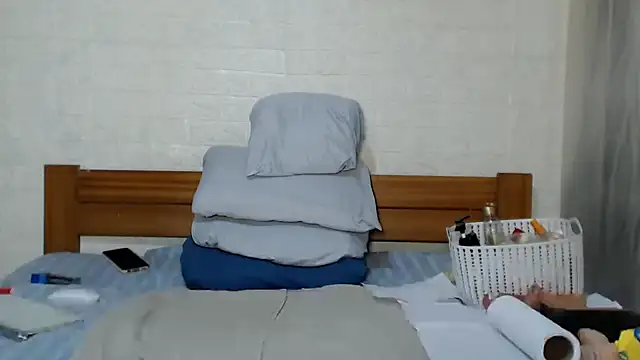 awild_kitten webcam