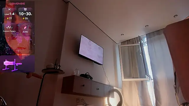 koyoomi webcam