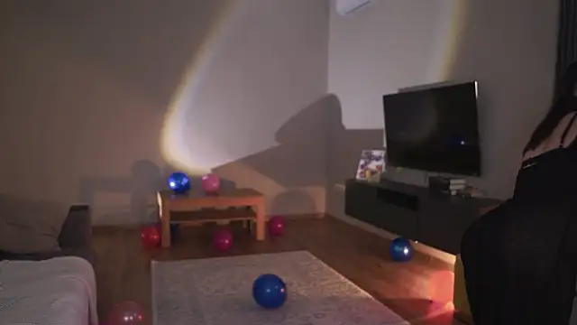 AdaBell webcam
