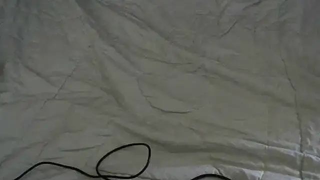 Molsex live cam on StripChat