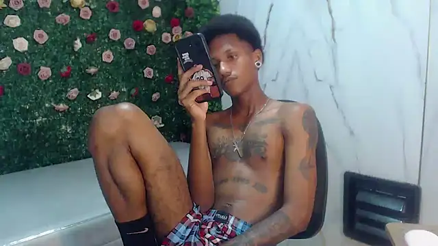 ManSant webcam