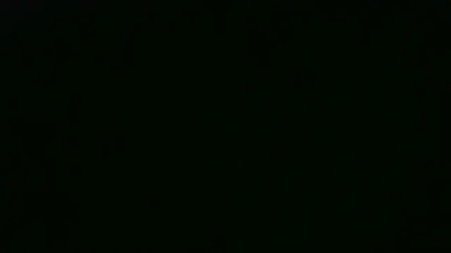 AshWinter webcam