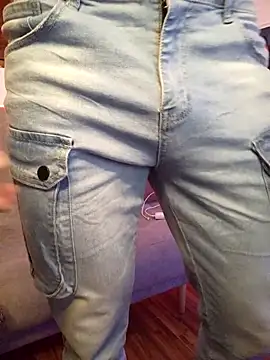 Joylopez_fit webcam
