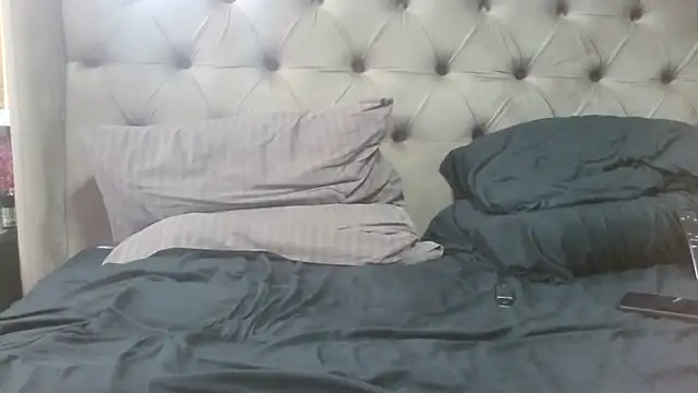 Shailadiess webcam