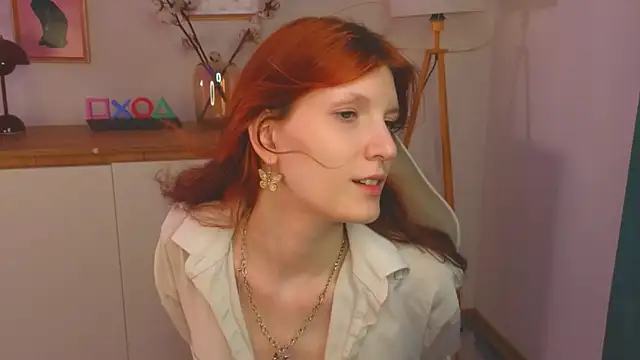 11itt1efox webcam