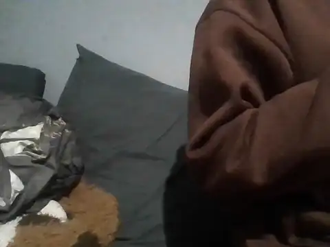 2nico webcam