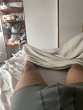 thecammen webcam