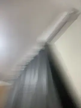 Lpdelas244 webcam