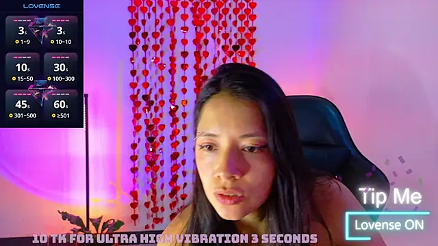 Sarasavage webcam