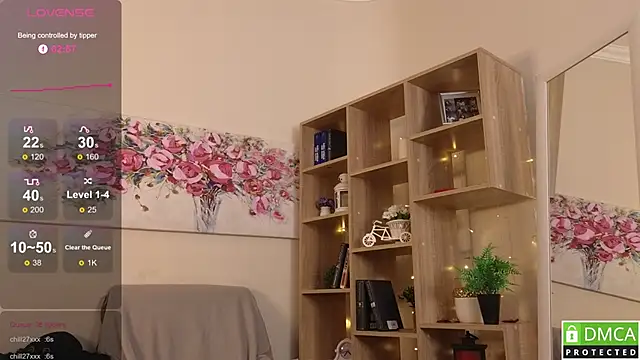 Sue_Sanders webcam