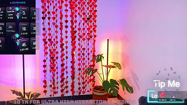 Sarasavage webcam
