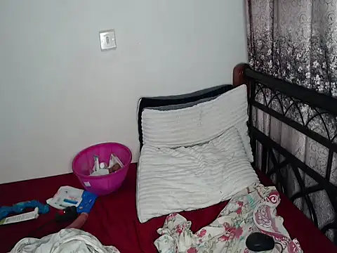 Whimsicalwillow webcam