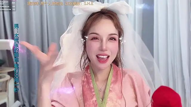 hi-AnAn webcam