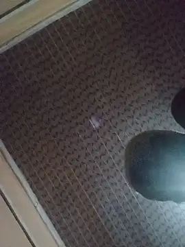 Pinkydish webcam