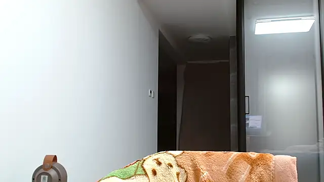 sonyx webcam