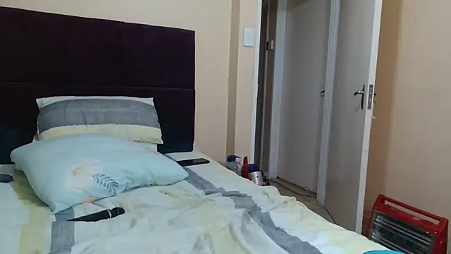 Bbw255 webcam