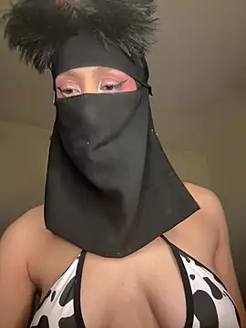 arabayla webcam