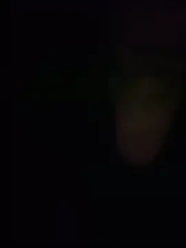 gaby9797 webcam