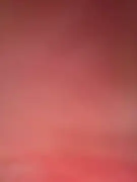 lokii webcam