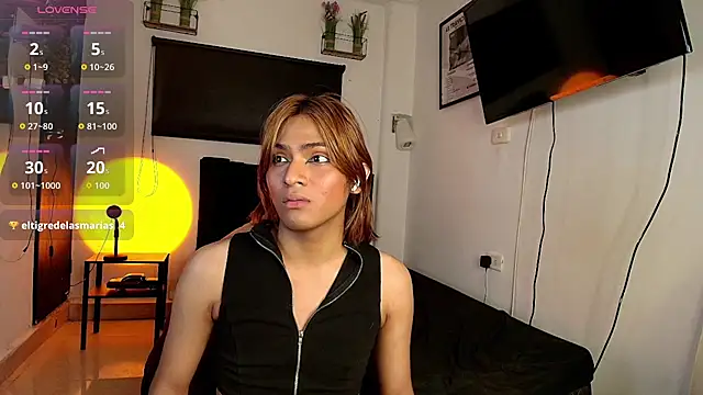 imgerver webcam