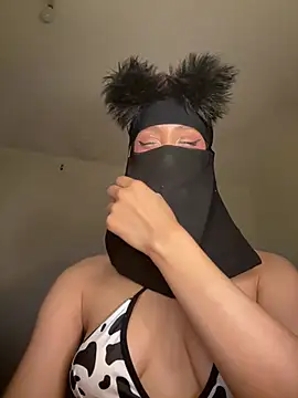 arabayla webcam