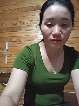 Td3di webcam