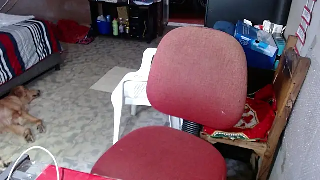Barbiegomez webcam