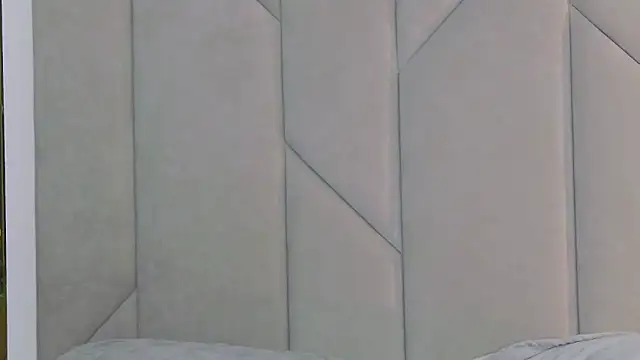 Touch_me webcam