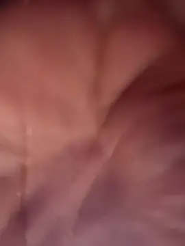 Laila_LS webcam