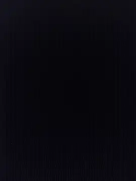 Alcon347 webcam
