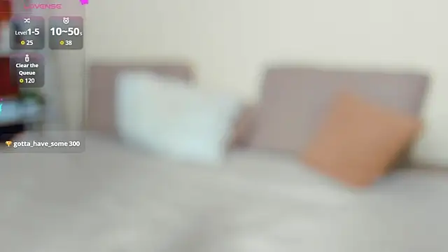 PorcelainBun webcam