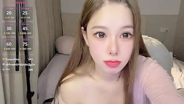 koieel webcam