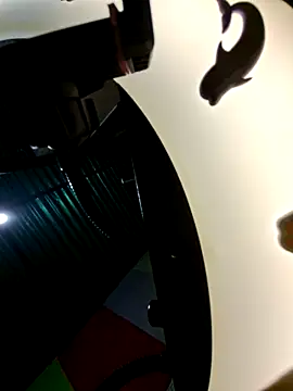 Putaalexa webcam