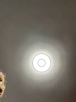 ZenyShy live cam on StripChat