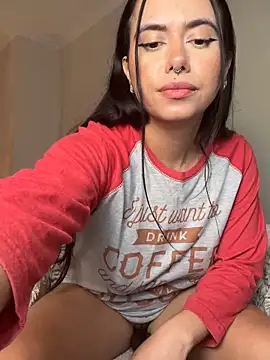 Samispank webcam