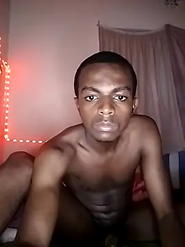 Lamecj webcam