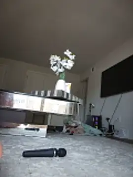SophiaXJohn webcam