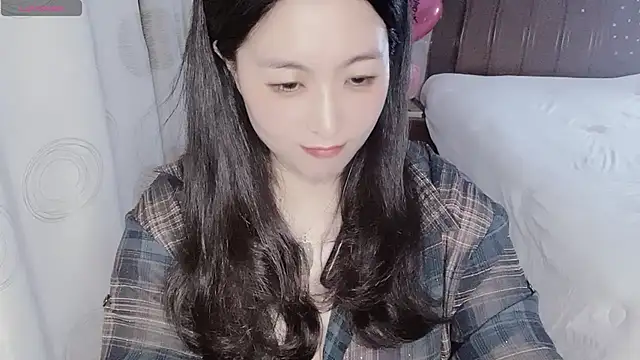 D-Misslu webcam
