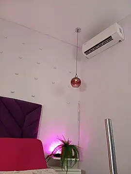 haileystone webcam