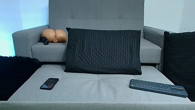 BrayaanFit webcam