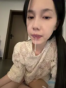 DD-5200 webcam