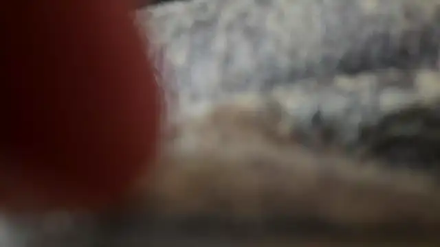 KinkyKittyBoy webcam