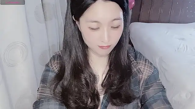 D-Misslu webcam