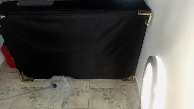 Alysrous_Mar webcam